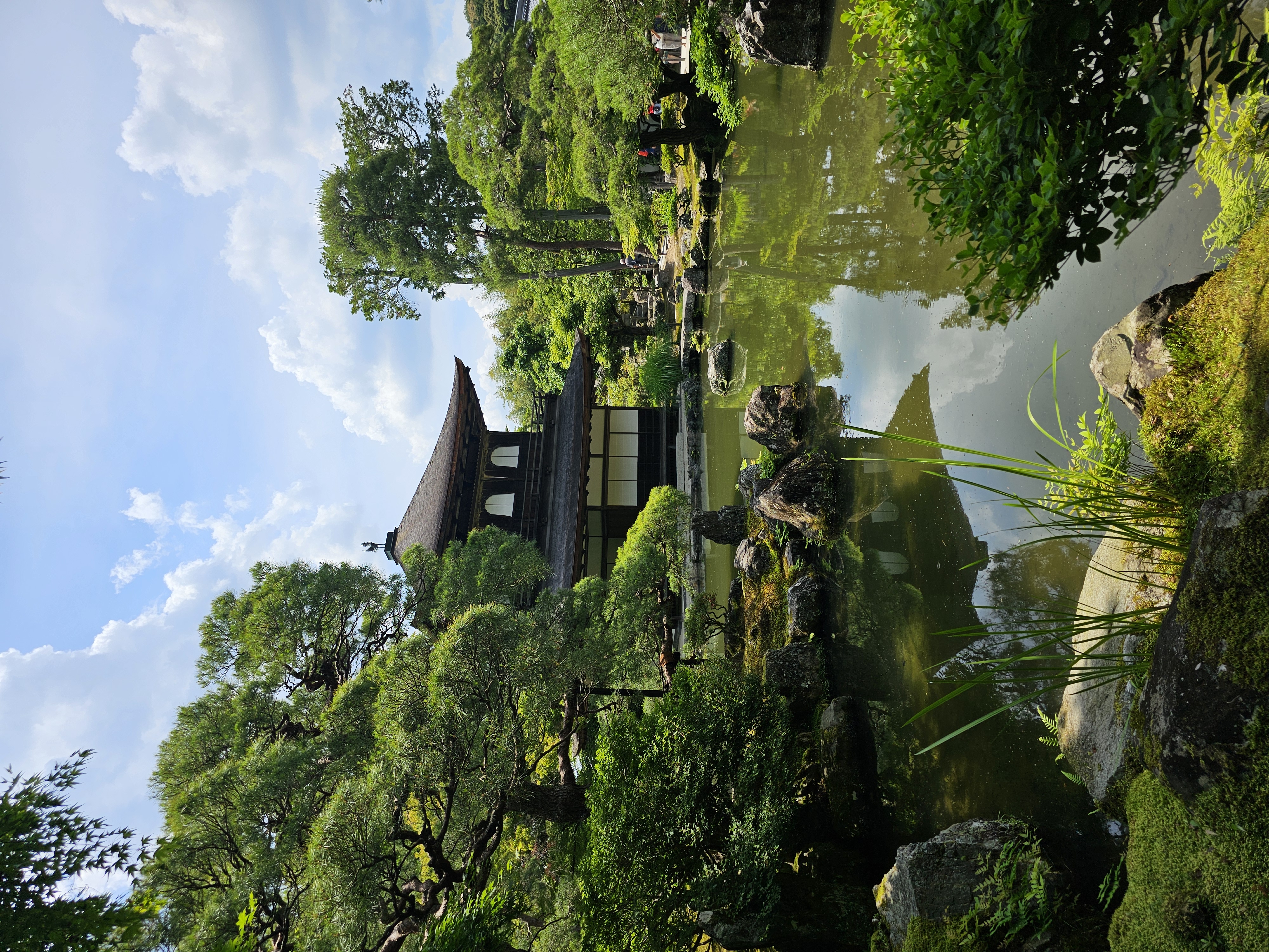 Jardín japonés